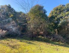 В Очамчырском районе, с. Араду, продаётся участок более 50 соток й.