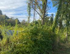 Участок Звандрипш 