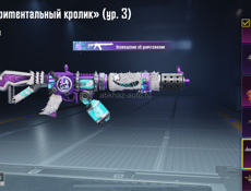 Аккаунт папге