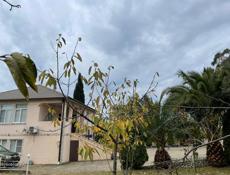 Сдается дом на 1 год,Мачара,евроремонт,100т.р в год