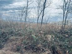 Срочно 450 тсч реальному клиенту торг уместен,до море 10 минут ходьбы ,все документы в порядке Звонить писать на ВАТСАП  +79407133008