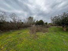 Участок в Бабушаре 10сот