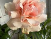 Ищу подработку на субботу и воскресенье на н.районе