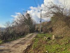 Шикарное предложение!