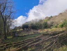 Шикарное предложение!