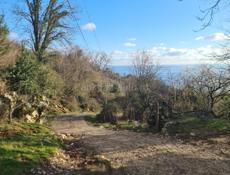 Шикарное предложение!