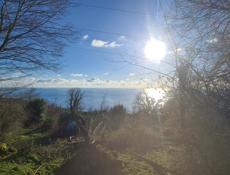 Шикарное предложение!