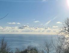 Шикарное предложение!