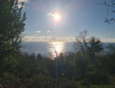 Шикарное предложение!