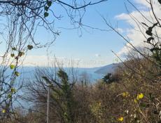 Шикарное предложение!