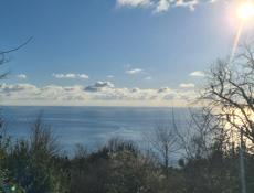 Шикарное предложение!