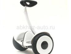 Гираскутор 