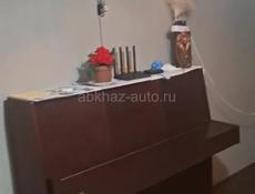 Сдается посуточно с июня 