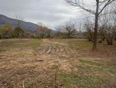 ГАГРА! СРОЧНО! 