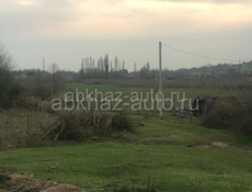 с, Приморское 