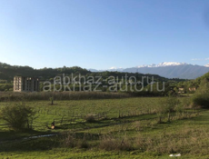 с, Приморское 