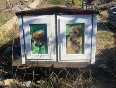 Прицеп для собак 