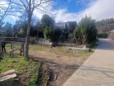 Псахара-колхида