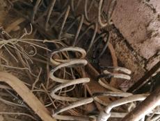 На Тойоту Хайлюкс сурф 