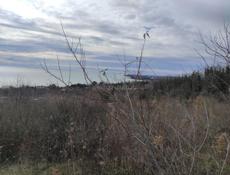 Участок в Гудауте 