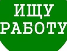 Ищу работу