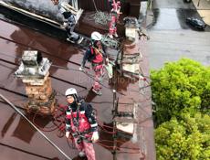 Работам биргада випалнюм фсй вида работа