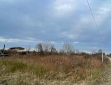 Цандрипш 15 соток 