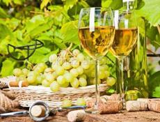 Продается белое вино