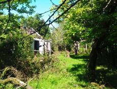 ГУЛРЫПШ/АГУДЗЕРА 15 соток