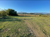 Сегодня торг ‼️