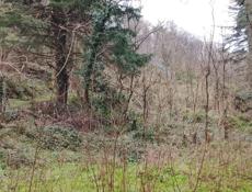 Продаю Участок 10соток