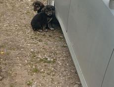 Золотой берег