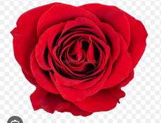 Возьму аккаунты