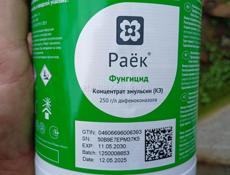 Акардо раёк  ниссоран 