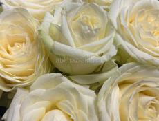 Семья снимет дом в г Сухум 