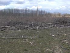 Участо 10 соток в районе аэропорта 