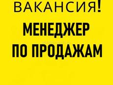 Менеджер по продажам (п.Бзыбь)