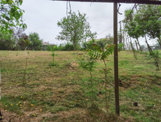 25 соток и недостроенный дом Мачара