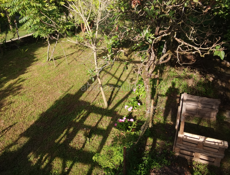 25 соток и недостроенный дом Мачара