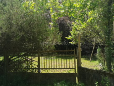 25 соток и недостроенный дом Мачара