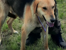 Готовый к работе 10 месяцев