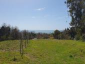 Срочно! 15сот.