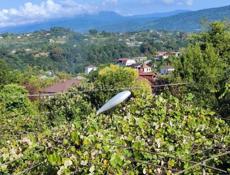 Продаётся жилой дом на ВИЭМе