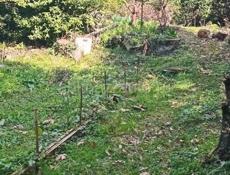 Срочная продажа ❗❗❗