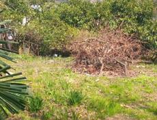 Срочная продажа ❗❗❗