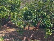 Срочная продажа ❗❗❗