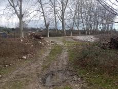 Участок в Сальме 