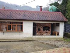 Сдаётся в аренду апацха