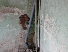 Срочно сегодня 