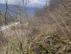 Каманы 6 соток 400т